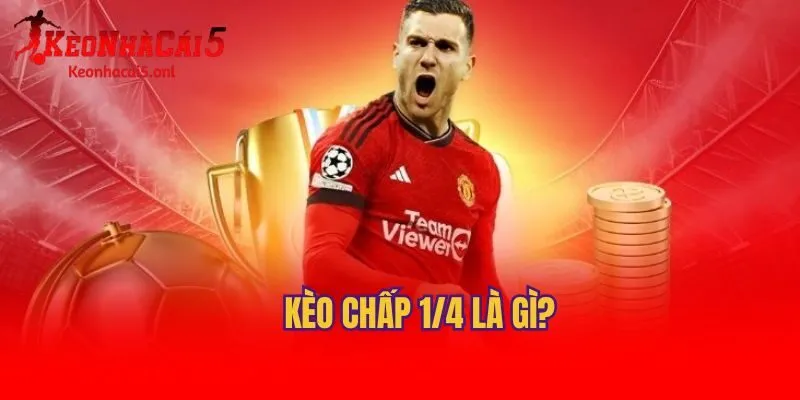 Kèo chấp 1/4 là gì?