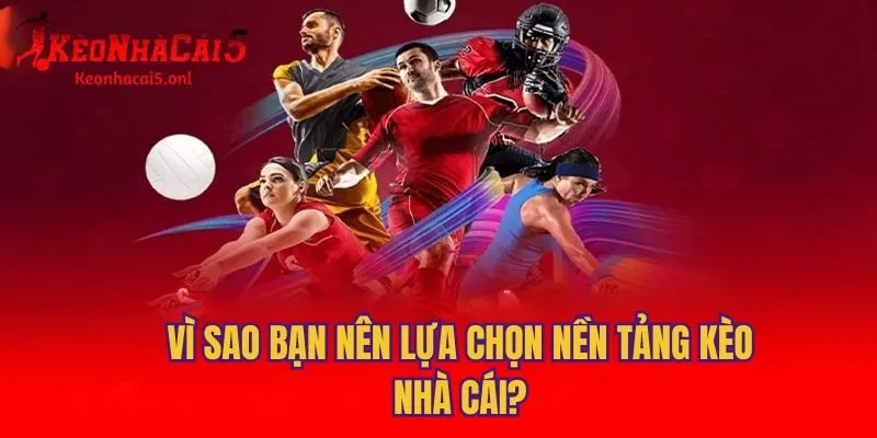 Vì sao bạn nên lựa chọn nền tảng Kèo Nhà Cái?